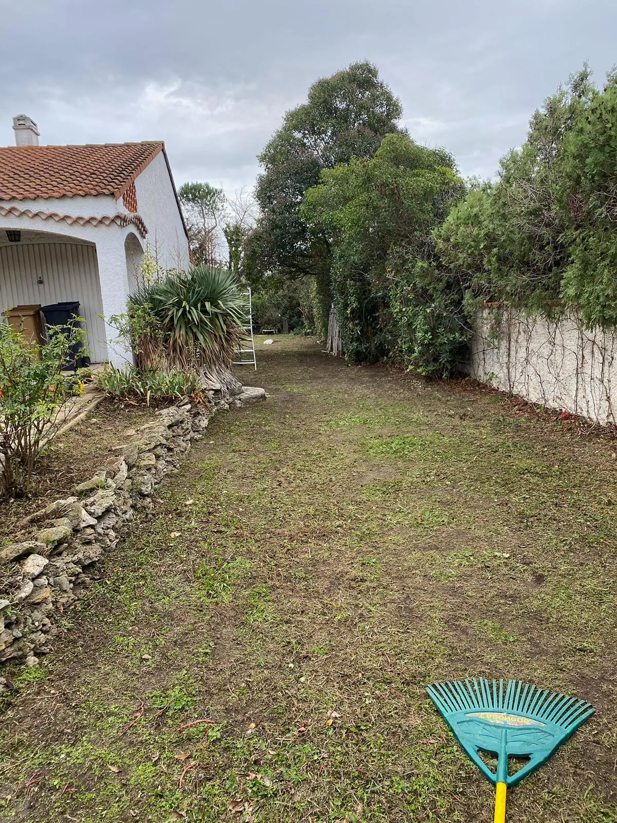 Photo du chantier : entretien d'un jardin